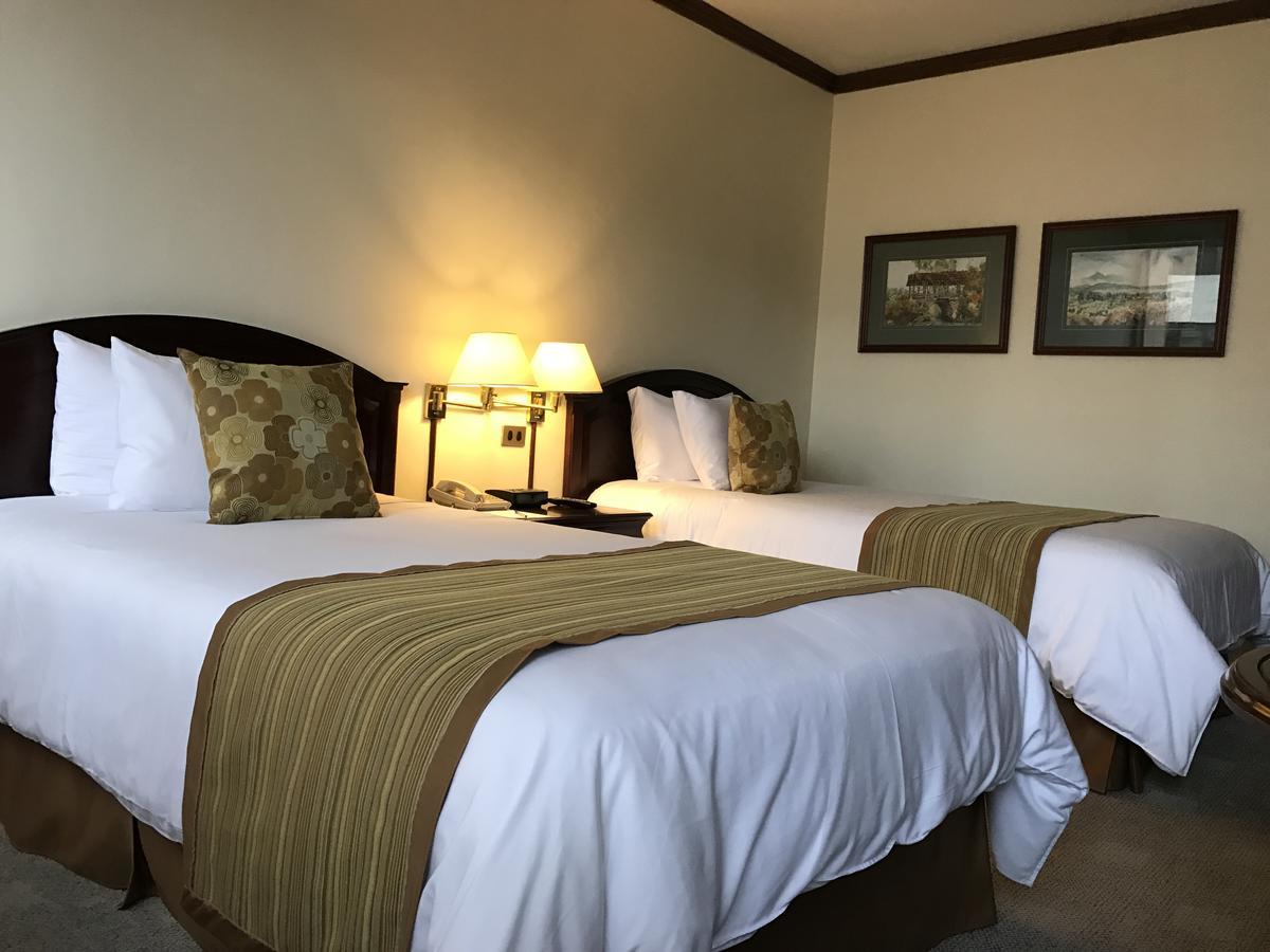 Socialtel Quito Otel Dış mekan fotoğraf