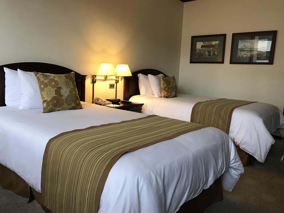 Socialtel Quito Otel Dış mekan fotoğraf